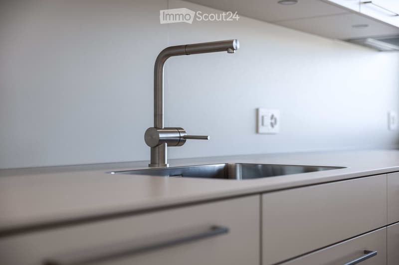 Modern kitchen with stainless steel sink, faucet, and white cabinets.