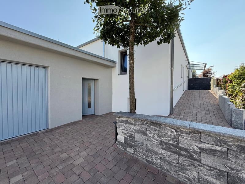 Modern two-story house with a raised ground floor, garage, and brick-paved pathway.