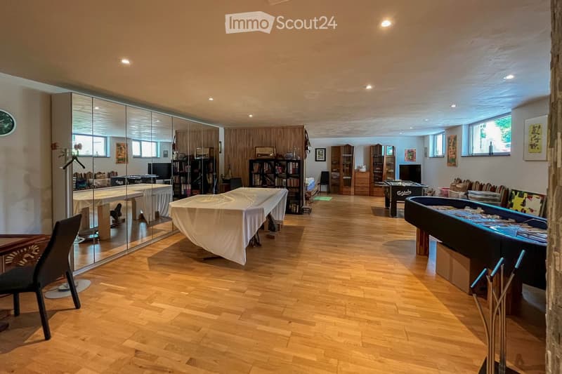 Hardwood floor, white walls, large mirror, tables, ping pong table, billiards table, shelves, chairs, bookcases