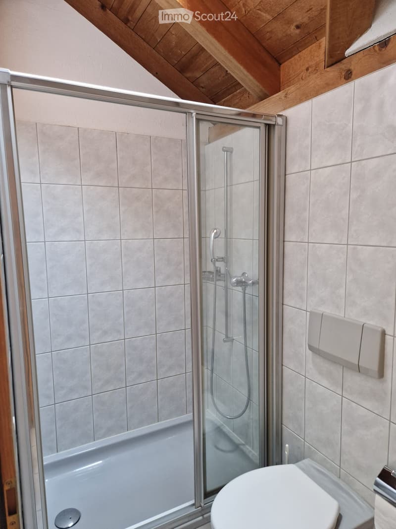 Modern bathroom with a bathtub, glass-enclosed shower, toilet, and sleek fixtures.