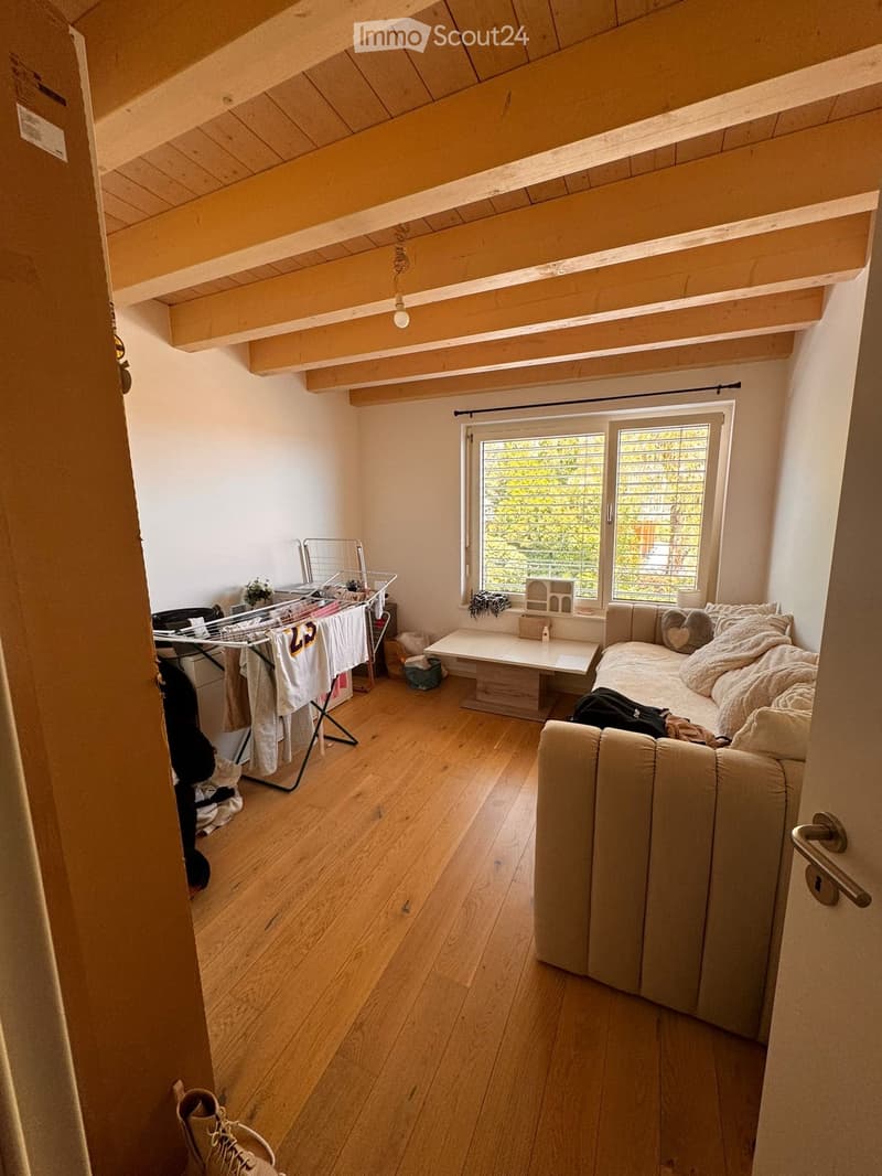 Cozy living room with wooden floor, exposed wooden beams, large window, sofa, small table, and clothing rack.