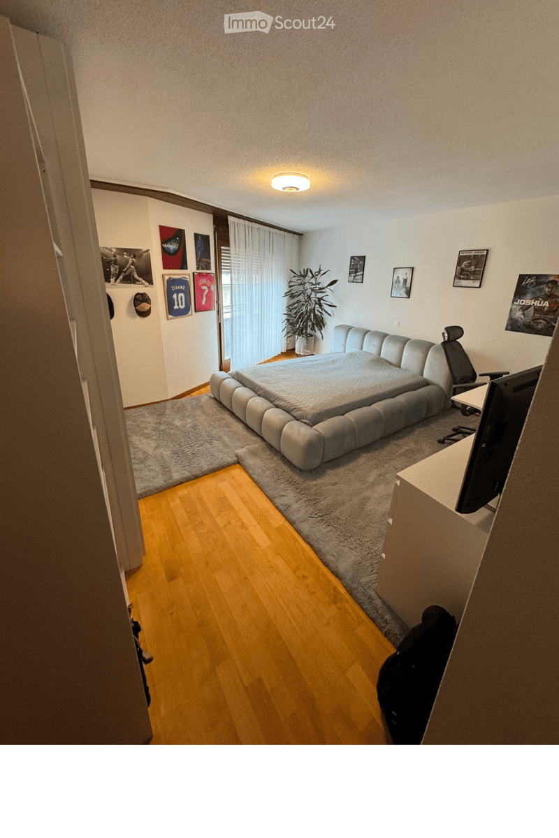 Modern bedroom with a large sofa bed, a desk with a screen, a chair, a plant, and a rug on a wooden floor.