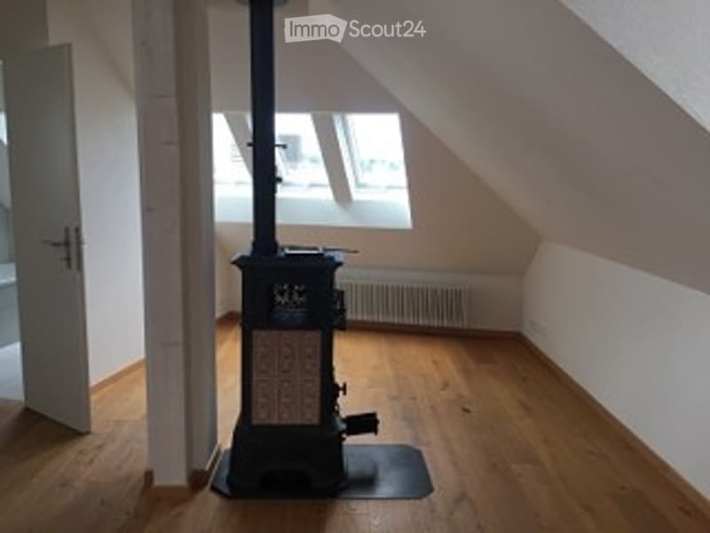 Empty attic room with wooden flooring, slanted ceiling, and a single skylight window. A black wood-burning stove is present, but no other furniture or items.