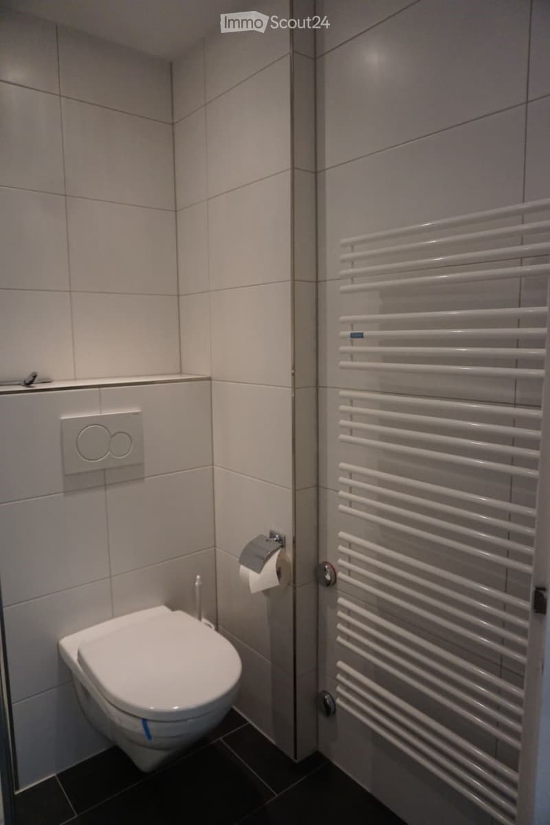 Bathroom. Modern bathroom with white tiled walls, a toilet, a toilet paper holder, and a white radiator.