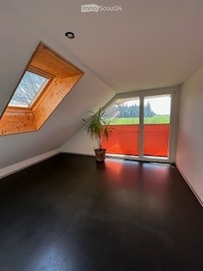 Empty attic room with wooden slanted ceiling, skylight window, large sliding glass door leading to a balcony, black flooring, and a potted plant near the door.
