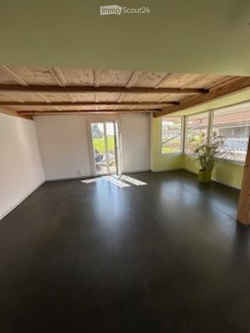 Empty room with wooden ceiling beams, dark flooring, large windows, and a small potted plant in the corner.