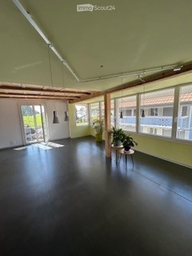 Empty room with white walls, large windows, black flooring, and a small plant on a table near the windows.