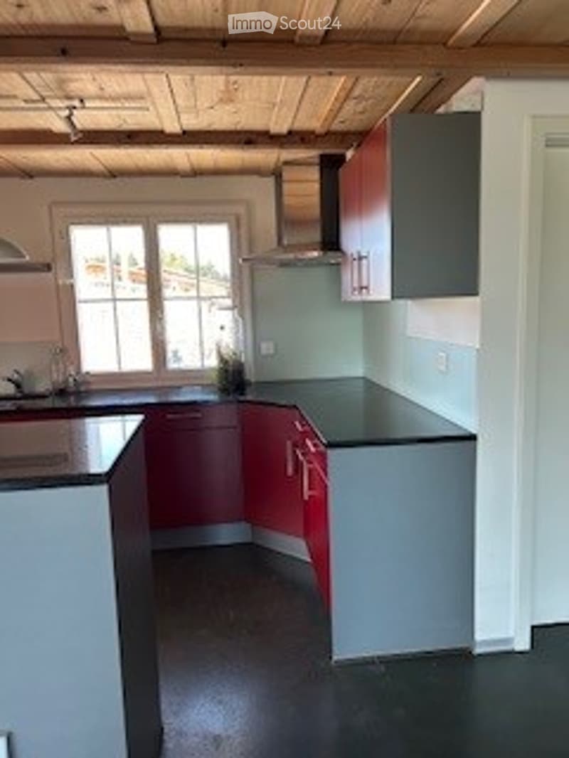 Modern kitchen with red and grey cabinets, black countertops, and a large window. Features a sink with a faucet and a small plant on the counter.