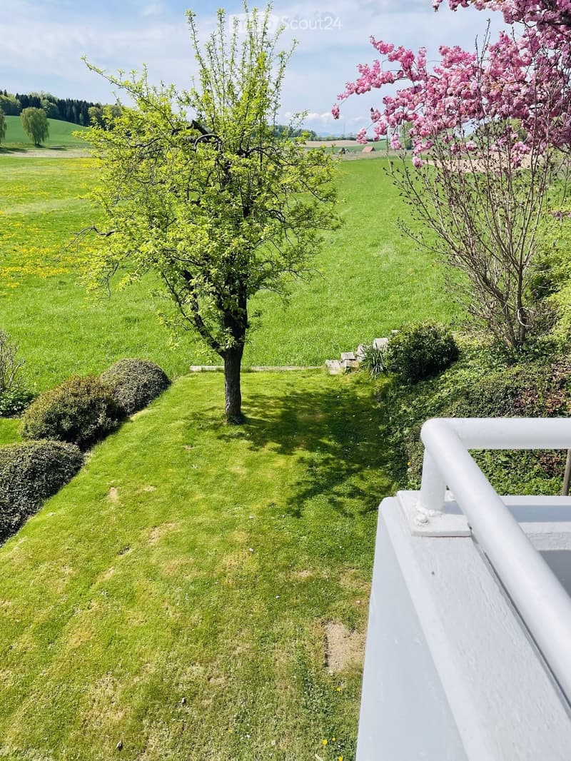 Lush green garden with trimmed hedges, flowering trees, and a white railing leading to a terrace.