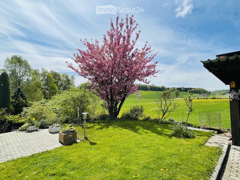 Well-maintained garden with a blooming pink tree, neatly trimmed grass, flower pots, and a brick pathway leading to a house.