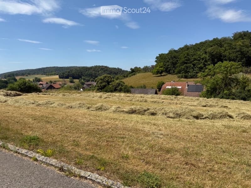Open field with hay bales, scattered trees, and a few houses in the background under a clear blue sky.