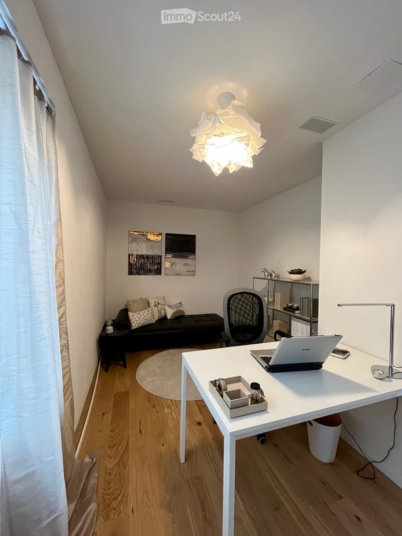 A modern, compact living space with a sofa, desk, laptop, and decorative elements.