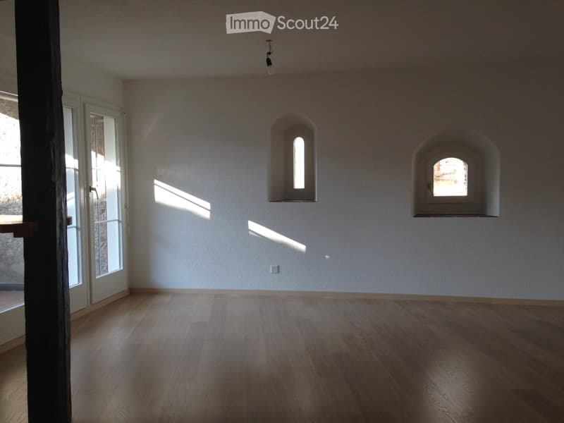 empty room, wooden floor, white walls, two arched windows, sliding glass doors, power outlet