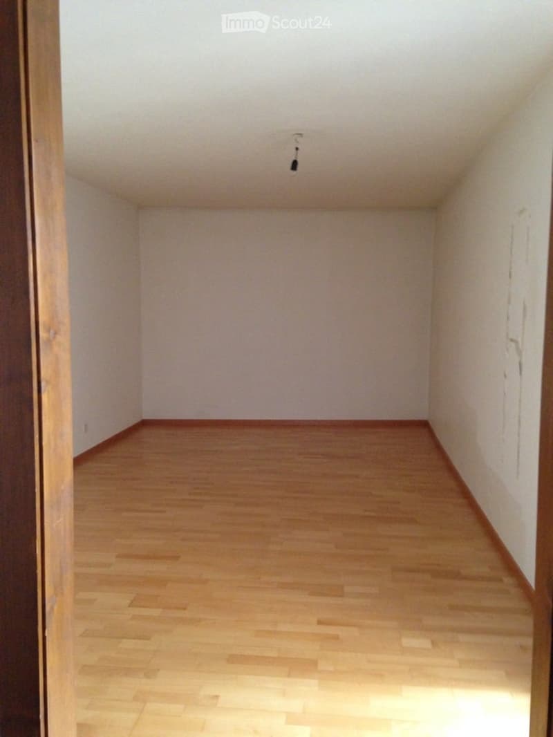 empty room, wooden floor, white walls, ceiling light