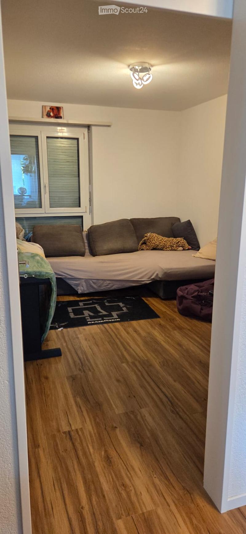 Cozy, compact room with wooden flooring, a sofa, a bed, pillows, a stuffed animal, a dog bed, a rug, and a picture frame on the wall.