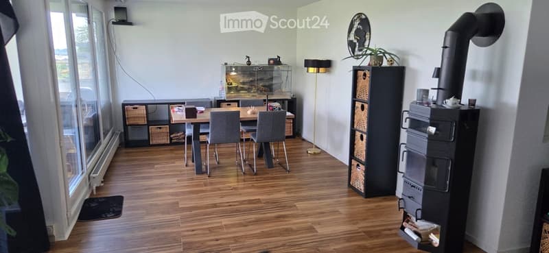Bright room with wooden flooring, a dining table with four chairs, a fish tank, a floor lamp, a wood stove, and storage units.