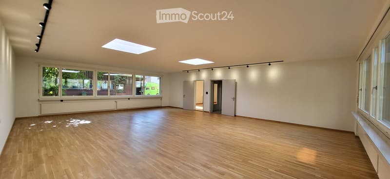 Empty room with wooden flooring, large windows, and skylights, featuring white walls and recessed lighting.