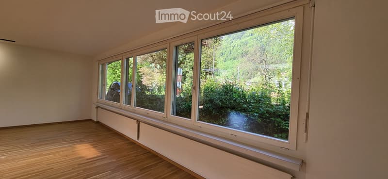 Empty room with wooden flooring, large windows, and radiator under the windows. No furniture or equipment present.