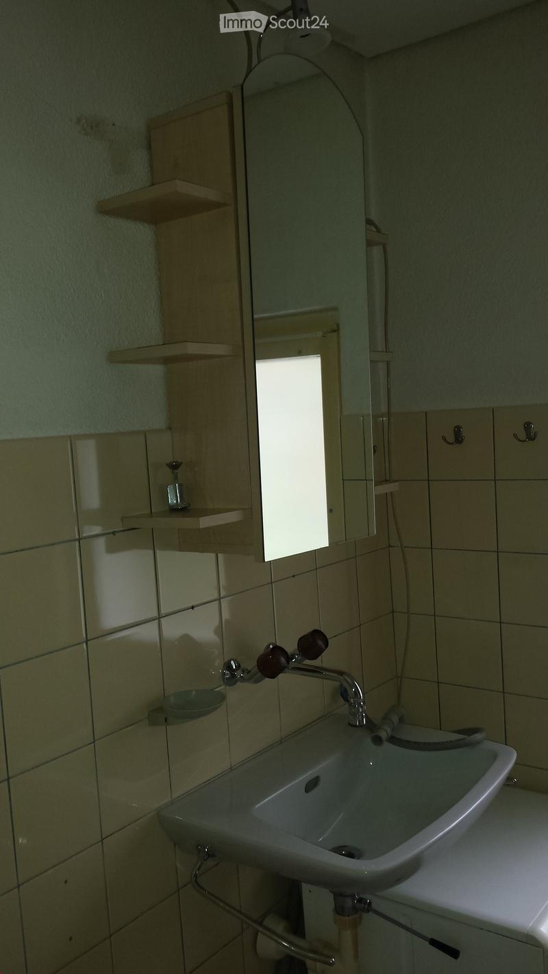 A small bathroom with a white sink, a mirror above it, and wooden shelves on the wall.