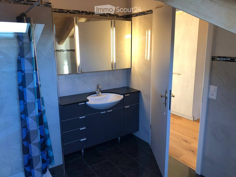 Modern bathroom with a dark grey cabinet, white sink, mirror, and a shower curtain visible on the left side.