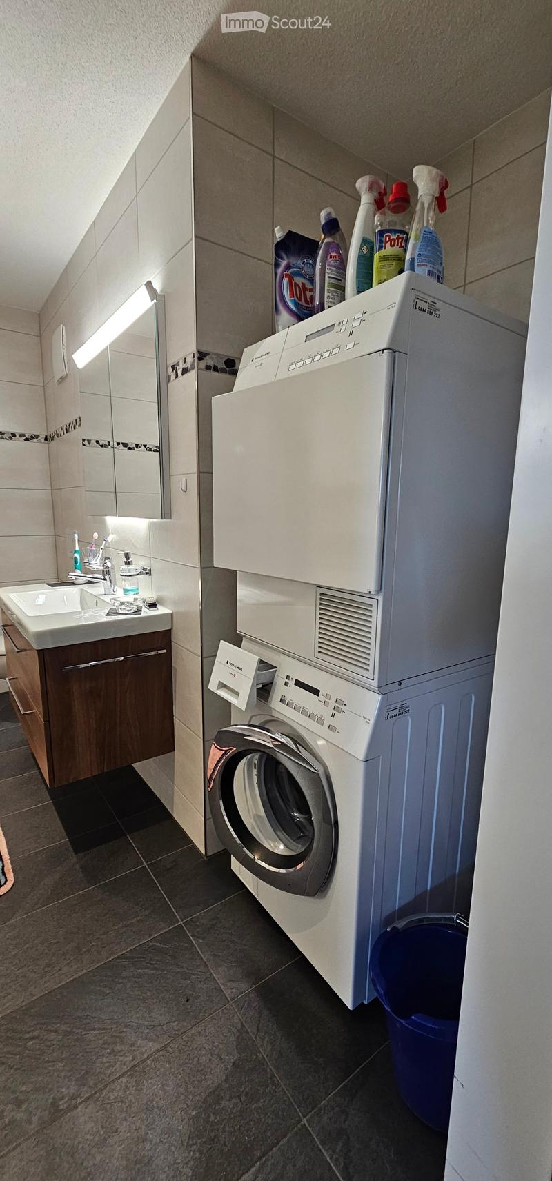 Modern bathroom with a sink, washing machine, and various cleaning supplies on top.