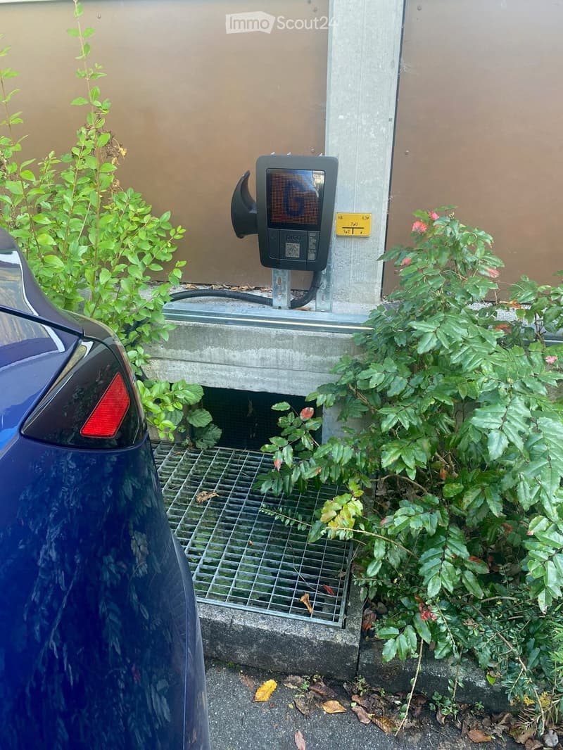 A small outdoor area with a car parked nearby, a charging station mounted on a wall, and some greenery including bushes and small plants.