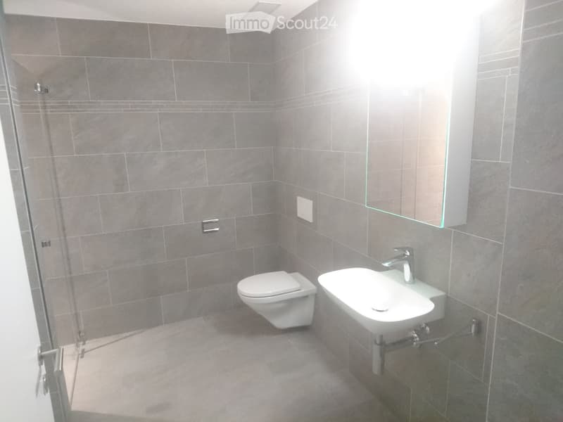 Compact bathroom, grey tiles, white fixtures, compact toilet, and sink with mirror
