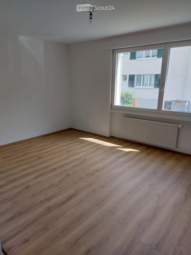 Empty room with wooden flooring, large window, radiator, and visible light fixture on the ceiling.