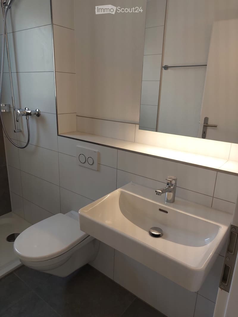 Modern bathroom with a white sink, chrome faucet, toilet, and built-in mirror with lighting. Shower area visible on the left.