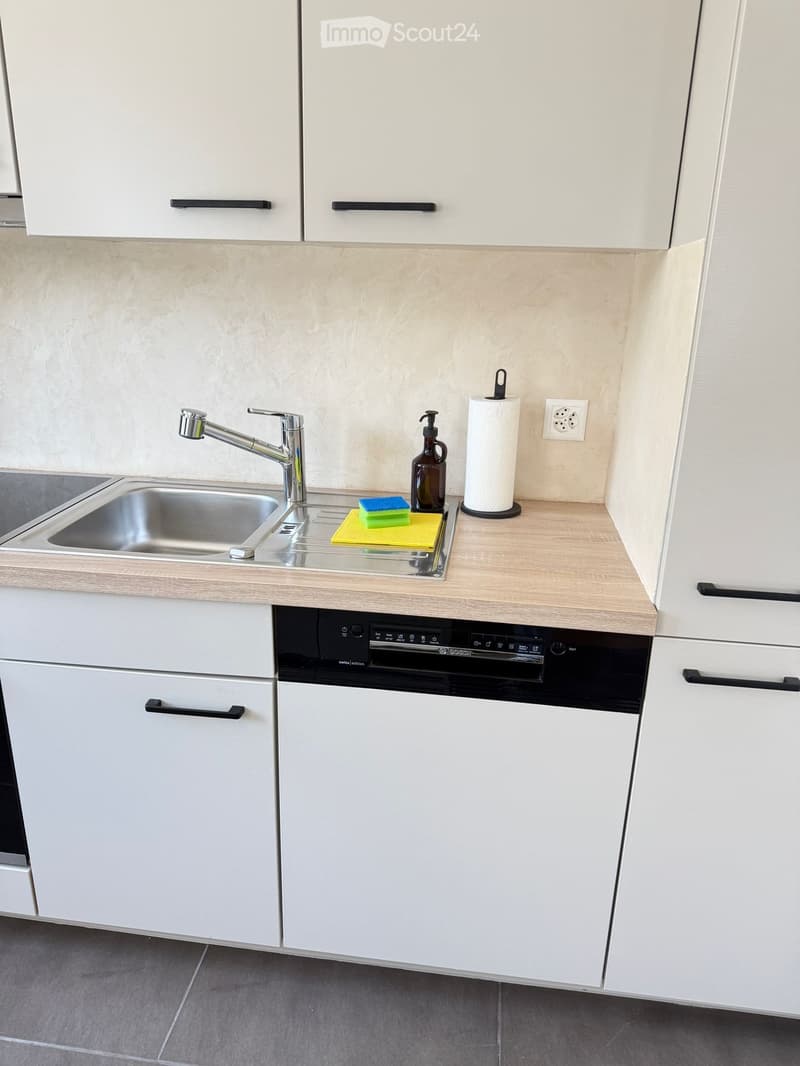 Modern kitchen with white cabinets, stainless steel sink, dishwasher, and countertop items including a bottle and sponges.