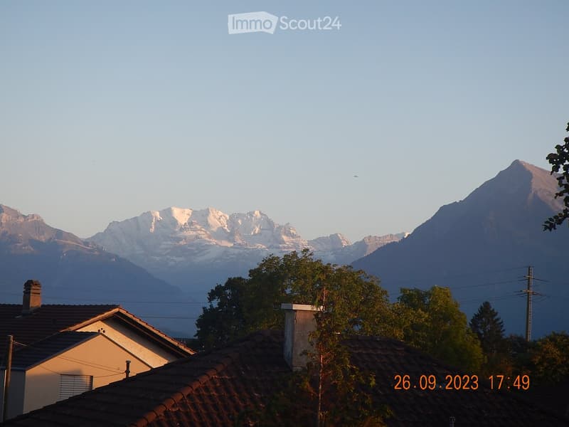 View of a house roof with surrounding trees and snow-capped mountains in the background.