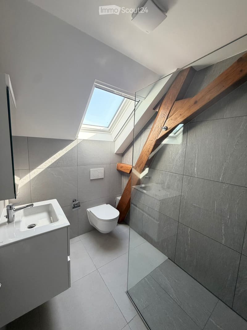 Modern bathroom with grey tiles, a white sink, a toilet, and a large skylight above the shower area.