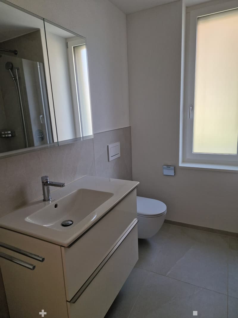 Modern bathroom with a white sink, chrome faucet, toilet, large mirror, and a glass-enclosed shower area.