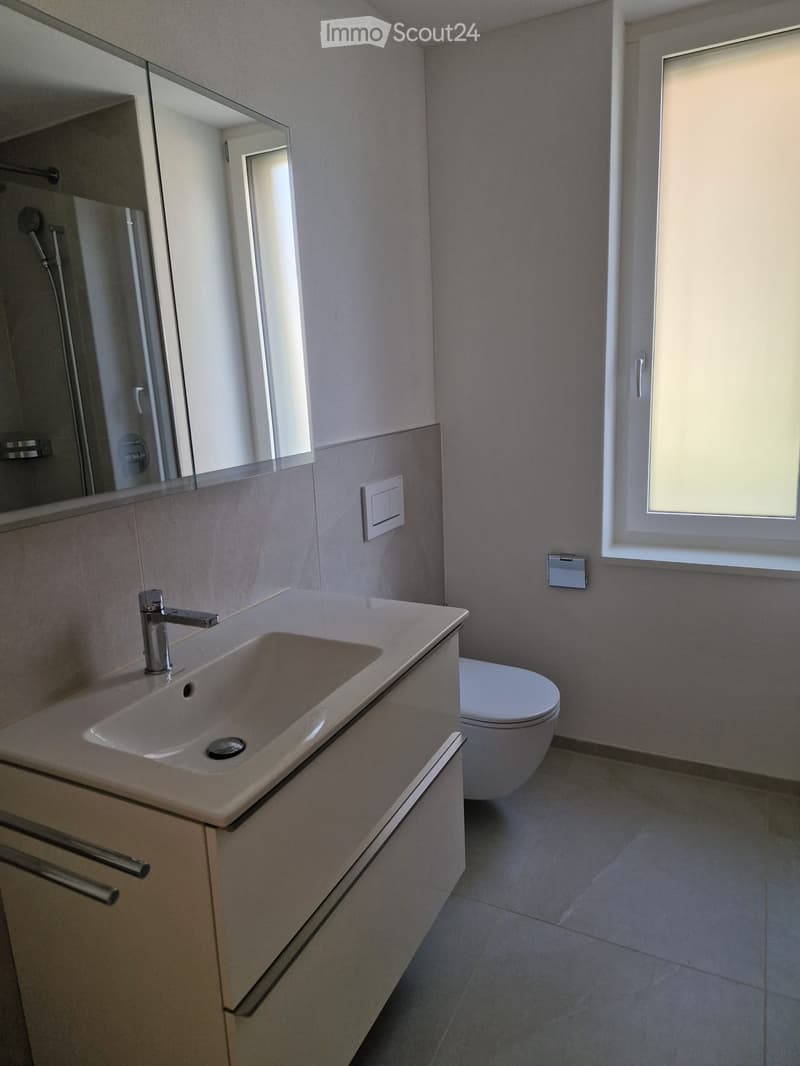 Modern bathroom with a white sink, chrome faucet, toilet, large mirror, and a glass-enclosed shower area.