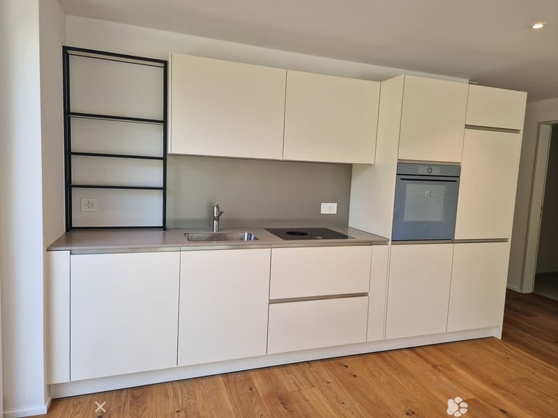 Modern kitchen with white cabinets, stainless steel sink, and built-in oven. Features a sleek design with a wooden floor and integrated lighting.