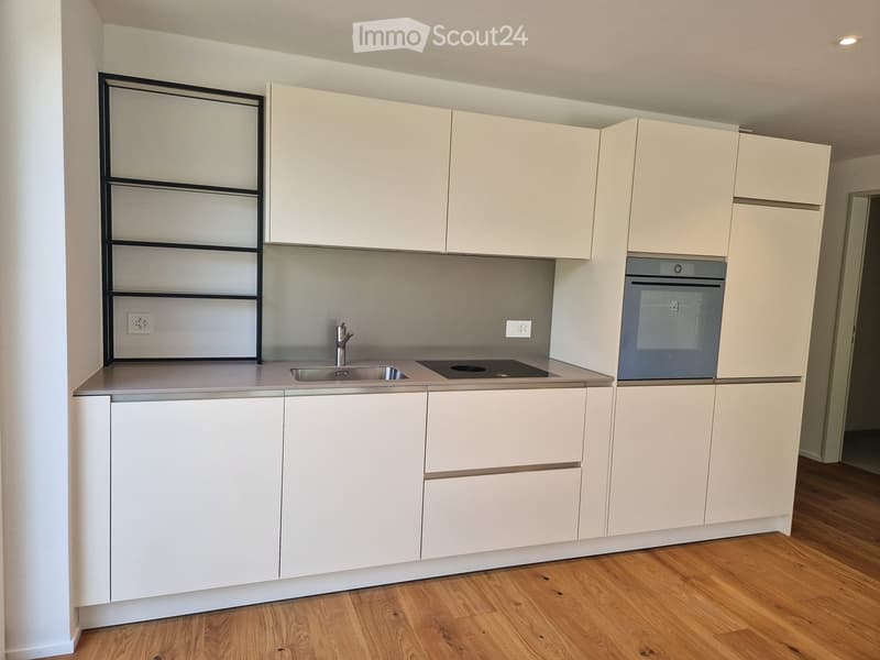 Modern kitchen with white cabinets, stainless steel sink, and built-in oven. Features a sleek design with a wooden floor and integrated lighting.