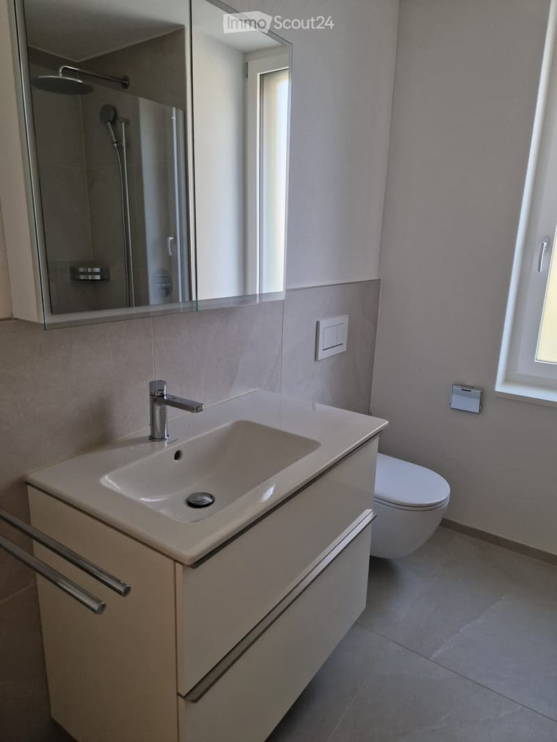 Modern bathroom with a white sink, chrome faucet, toilet, large mirror, and a glass-enclosed shower area.