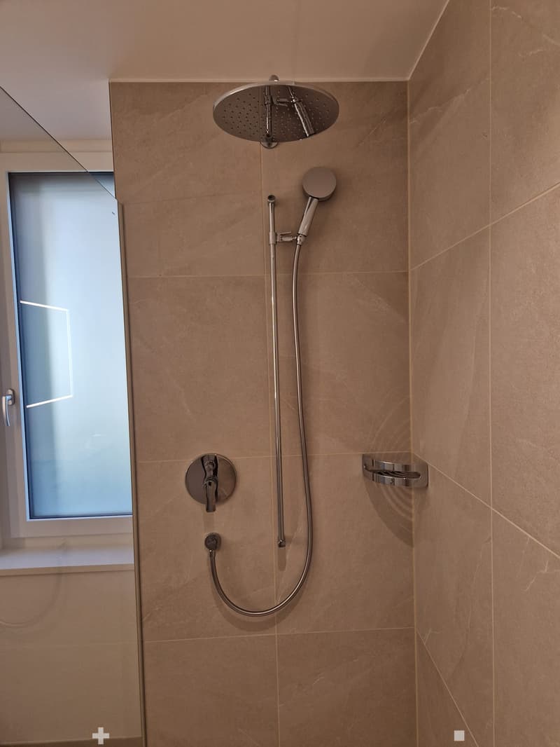 Modern shower area with a large, round showerhead, handheld shower hose, and control valve. Beige tiled walls and a frosted glass window provide privacy.