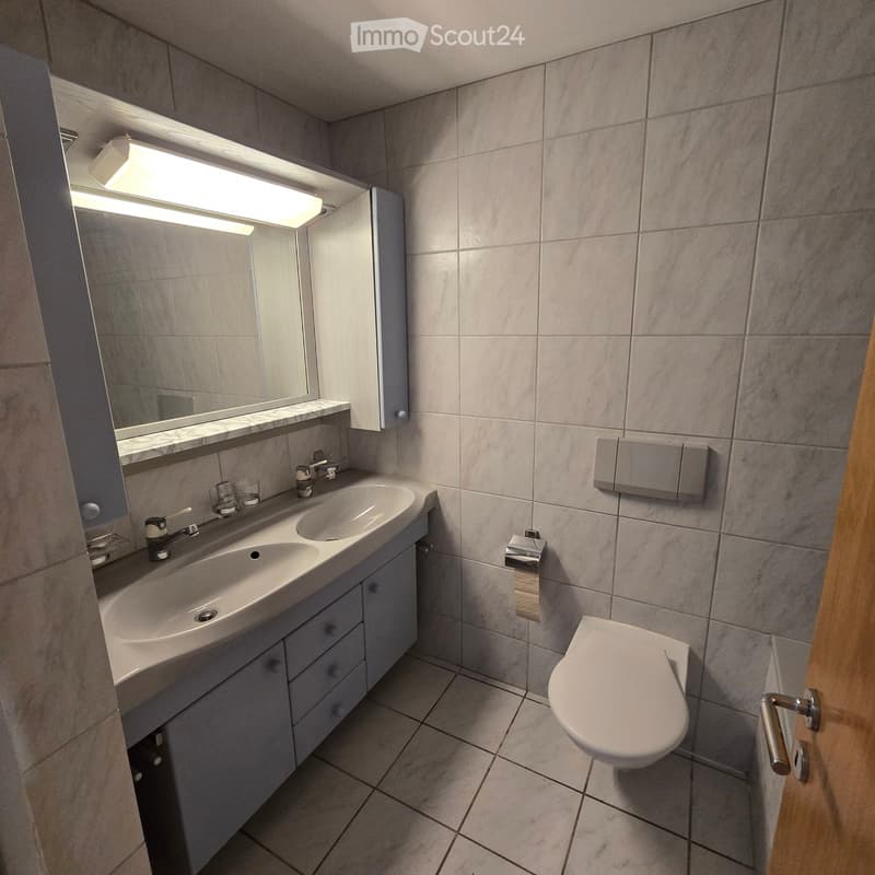 Modern bathroom with a double sink, mirror, and toilet. Features grey tiles, a built-in cabinet, and a sleek light fixture above the mirror.