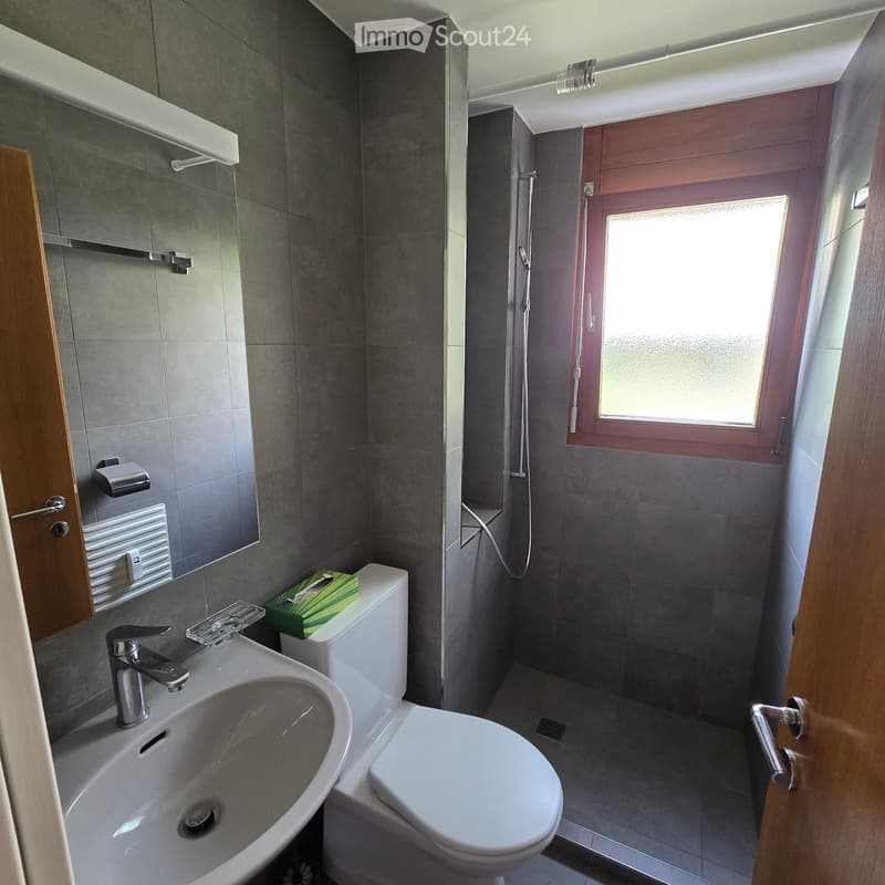 Modern bathroom with grey tiled walls, a white sink with a modern faucet, a toilet, a shower area with a glass door, and a mirror above the sink.