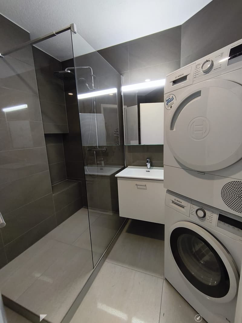 Modern bathroom with a glass-enclosed shower, a white sink with a mirror, and a Bosch washing machine.