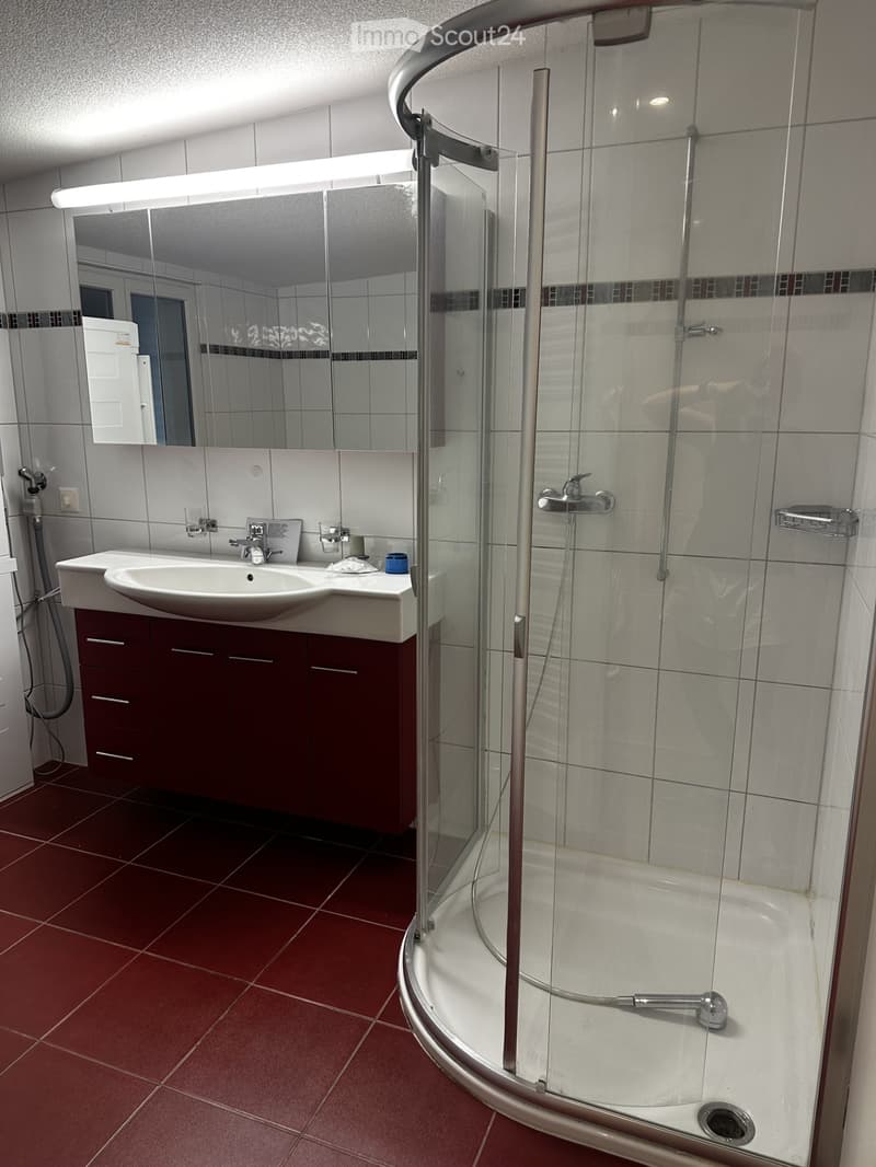 Modern bathroom with a white sink, dark red cabinet, large mirror, and a glass-enclosed shower with a modern faucet.