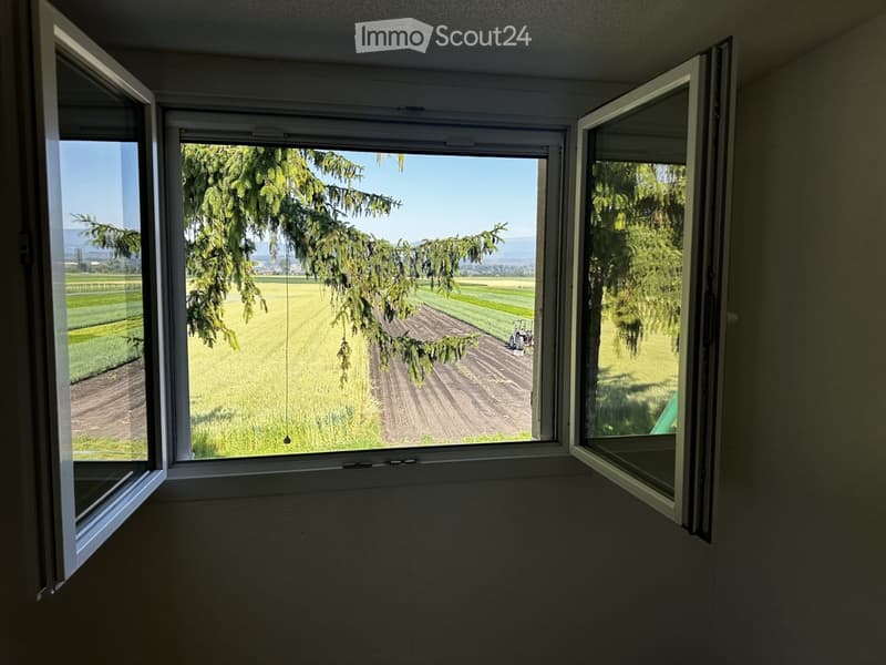 Empty room with three large windows open to a scenic rural view of fields and trees.