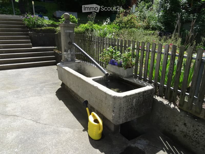 Garden area with a concrete water trough, wooden fence, potted plants, and a yellow watering can on the ground.