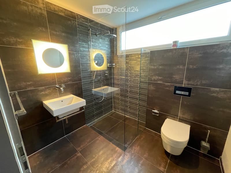 Modern bathroom with dark brown tiles, a white sink, a toilet, a glass-enclosed shower, and illuminated mirrors.