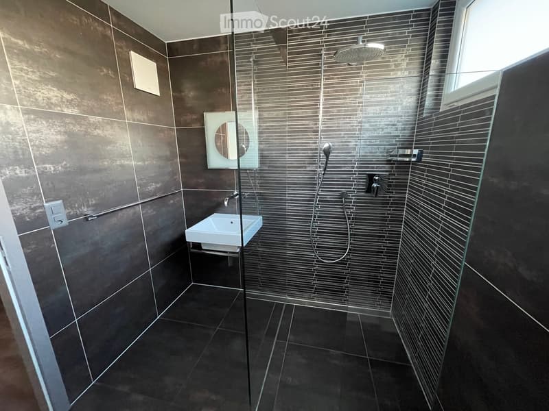 Modern bathroom with dark grey tiles, a glass-enclosed shower area, a white sink, and a mirror.