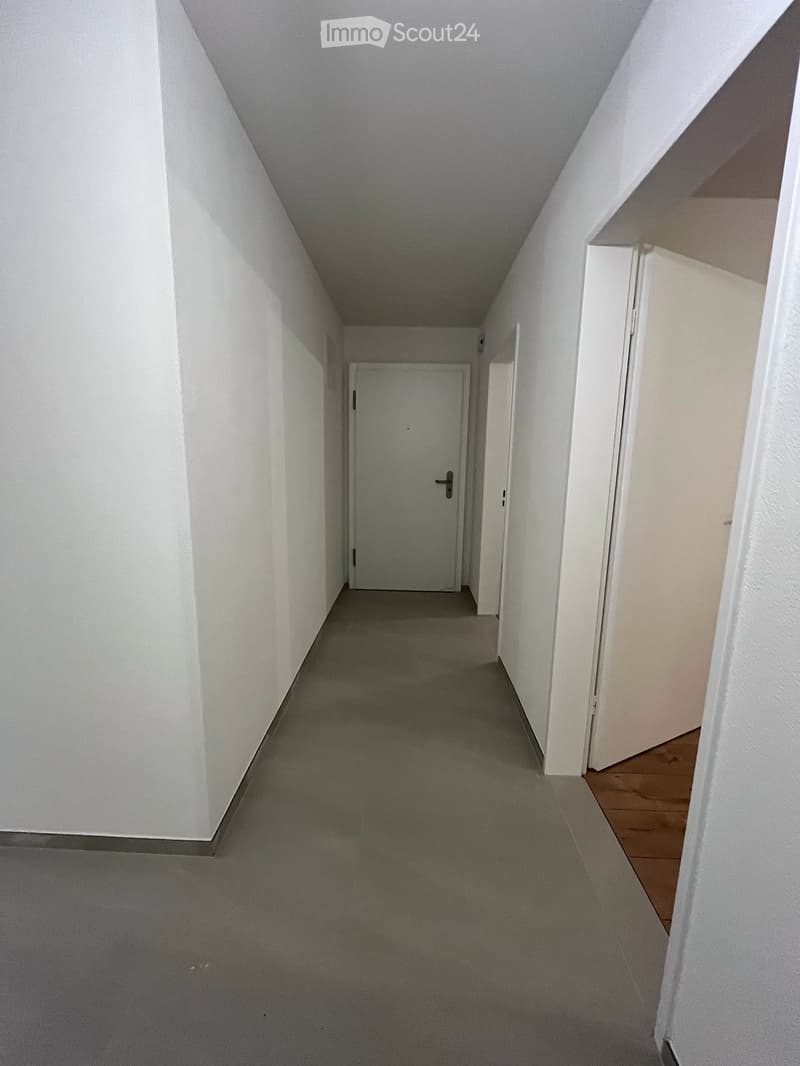 Empty hallway with white walls, grey carpeted floor, and several closed doors.