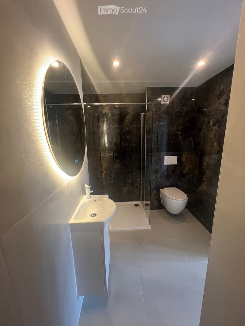 Modern bathroom with a white sink, toilet, oval mirror with built-in lighting, and a glass-enclosed shower area with dark tiled walls.