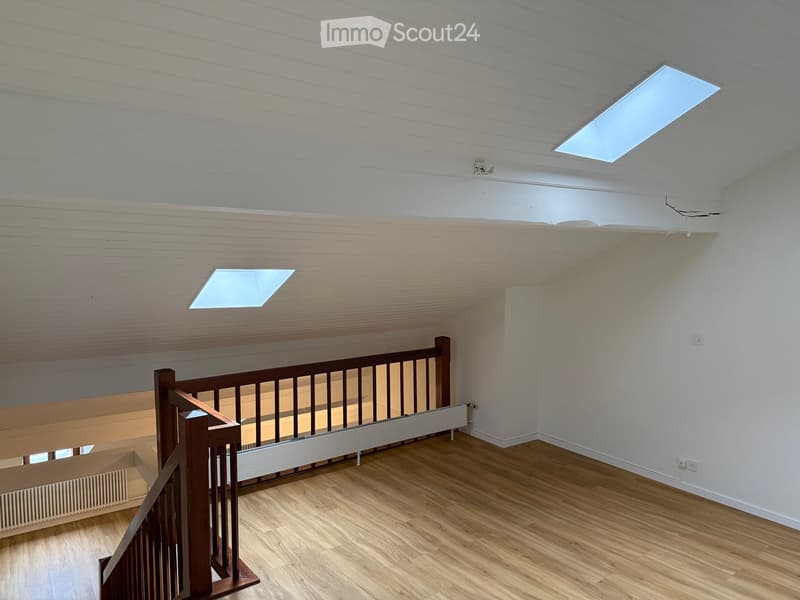 Empty hallway with wooden flooring, white walls, and a wooden staircase railing. Two skylights provide natural light.