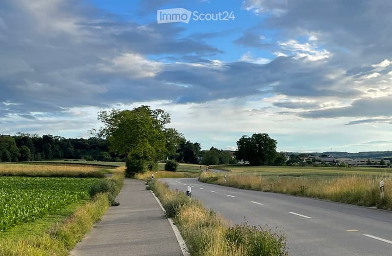 A rural road curves gently through a green landscape with fields, trees, and a clear sky.